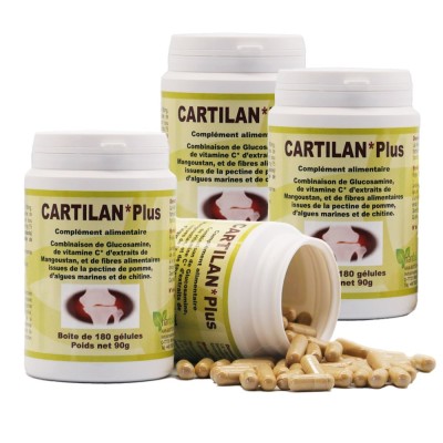 CARTILAN CARTILAN