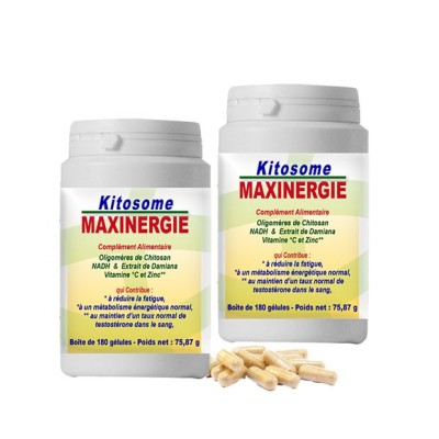 Kitosome MAXINERGIE