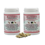 HANOBIX