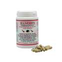 HANOBIX