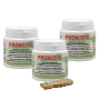 PROKITIC - LACTOBACILLUS MICROENCAPSULES de KIMCHI - HAN-BIOTECH