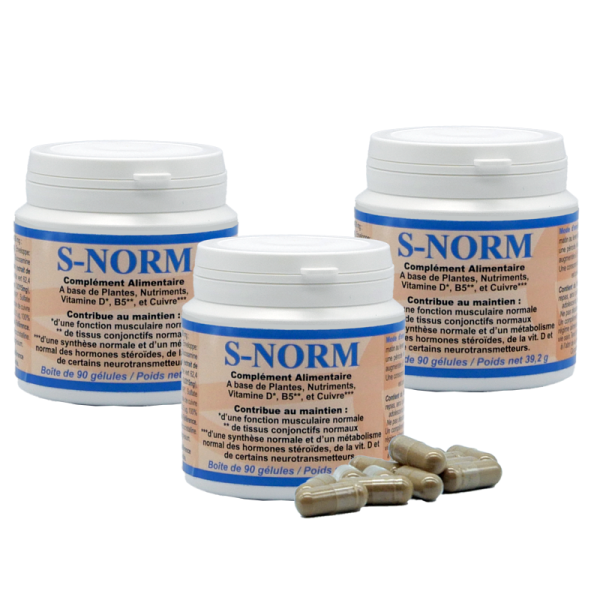 S-NORM