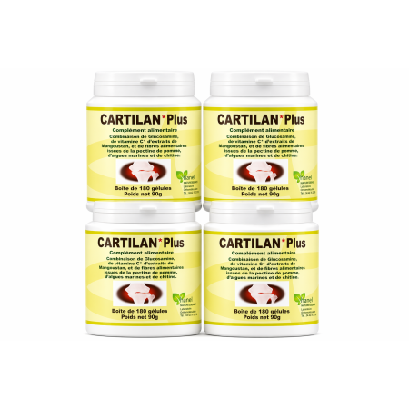 CARTILAN