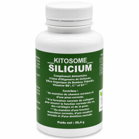 KITOSOME SILICIUM