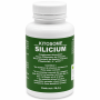 KITOSOME SILICIUM