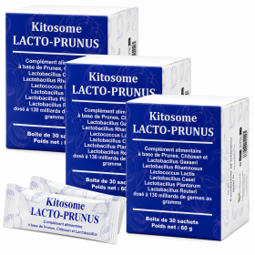 KITOSOME LACTO-PRUNUS