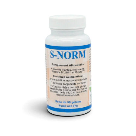 S-NORM