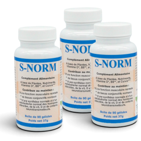 S-NORM