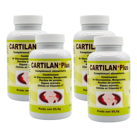 CARTILAN