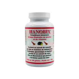 HANOBIX