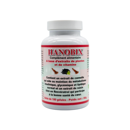 HANOBIX