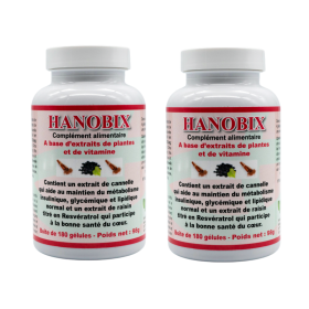 HANOBIX