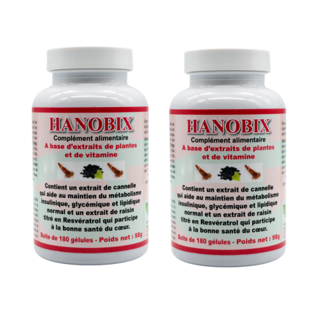 HANOBIX