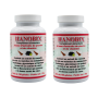 HANOBIX